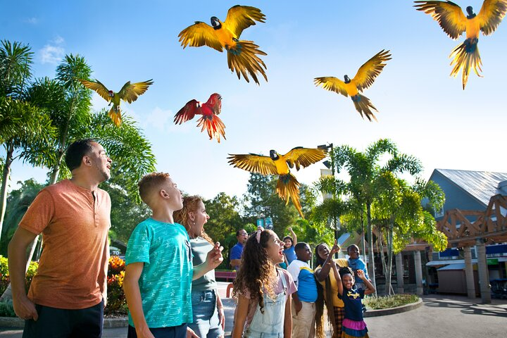 ZooTampa at Lowry Park Tickets - Photo 1 of 14